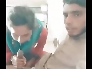 Bhabhi Sucking my cock in raipur